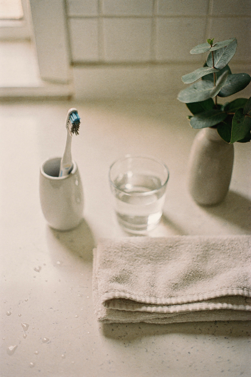 A toothbrush resting in a ceramic holder, a folded hand towel, a small glass of water, and a sprig of eucalyptus in a narrow vase. 85mm lens, f/2. 8, Fuji Pro 400H tones. , no text, no logos
