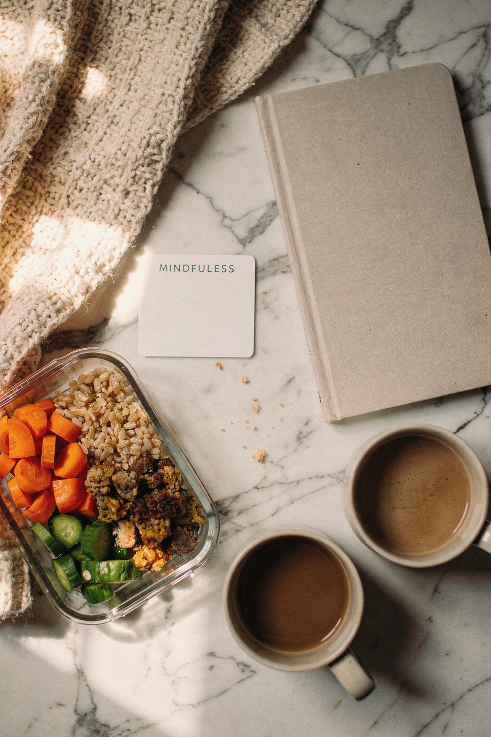 A meal prep container, a sleep journal, a mindfulness card, a cozy blanket corner, and two coffee mugs side by side
