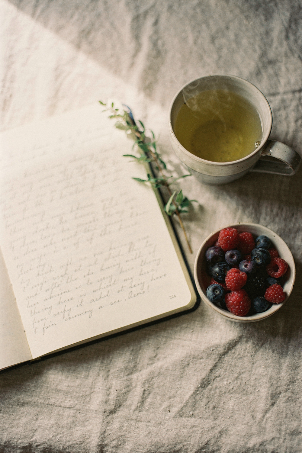 An open journal with handwriting, a cup of herbal tea, a small bowl of berries, and a sprig of greenery on a pale linen surface. , no text, no logos