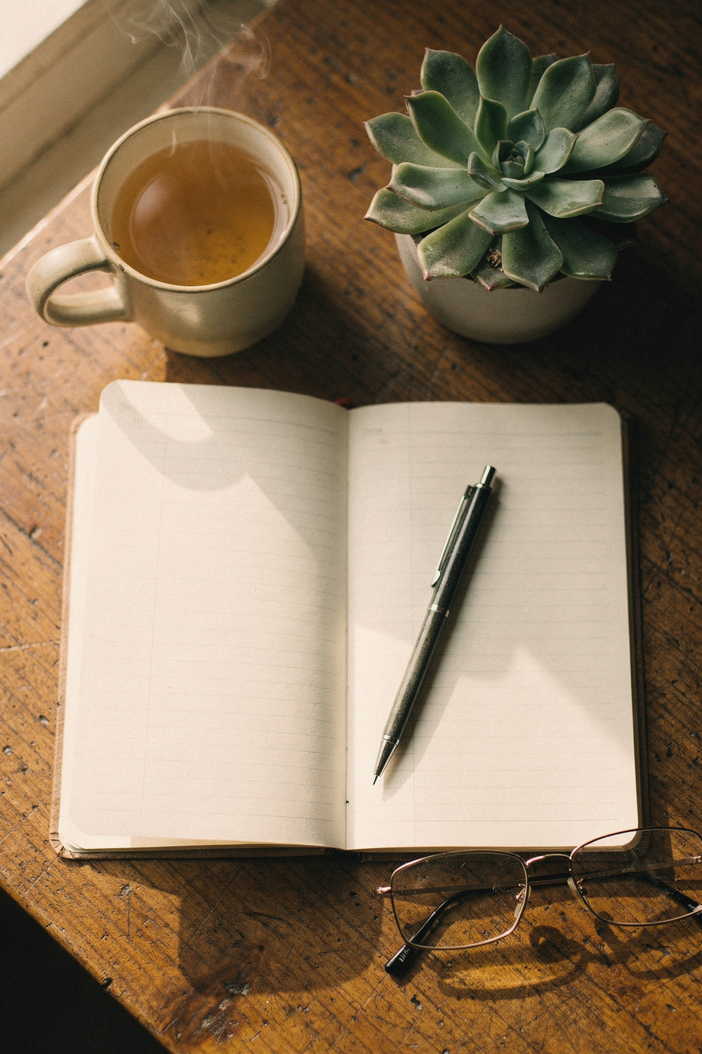 An open lined journal with a pen resting on it, a mug of herbal tea, a small potted succulent, and a folded pair of reading glasses set to one side. , no text, no logos
