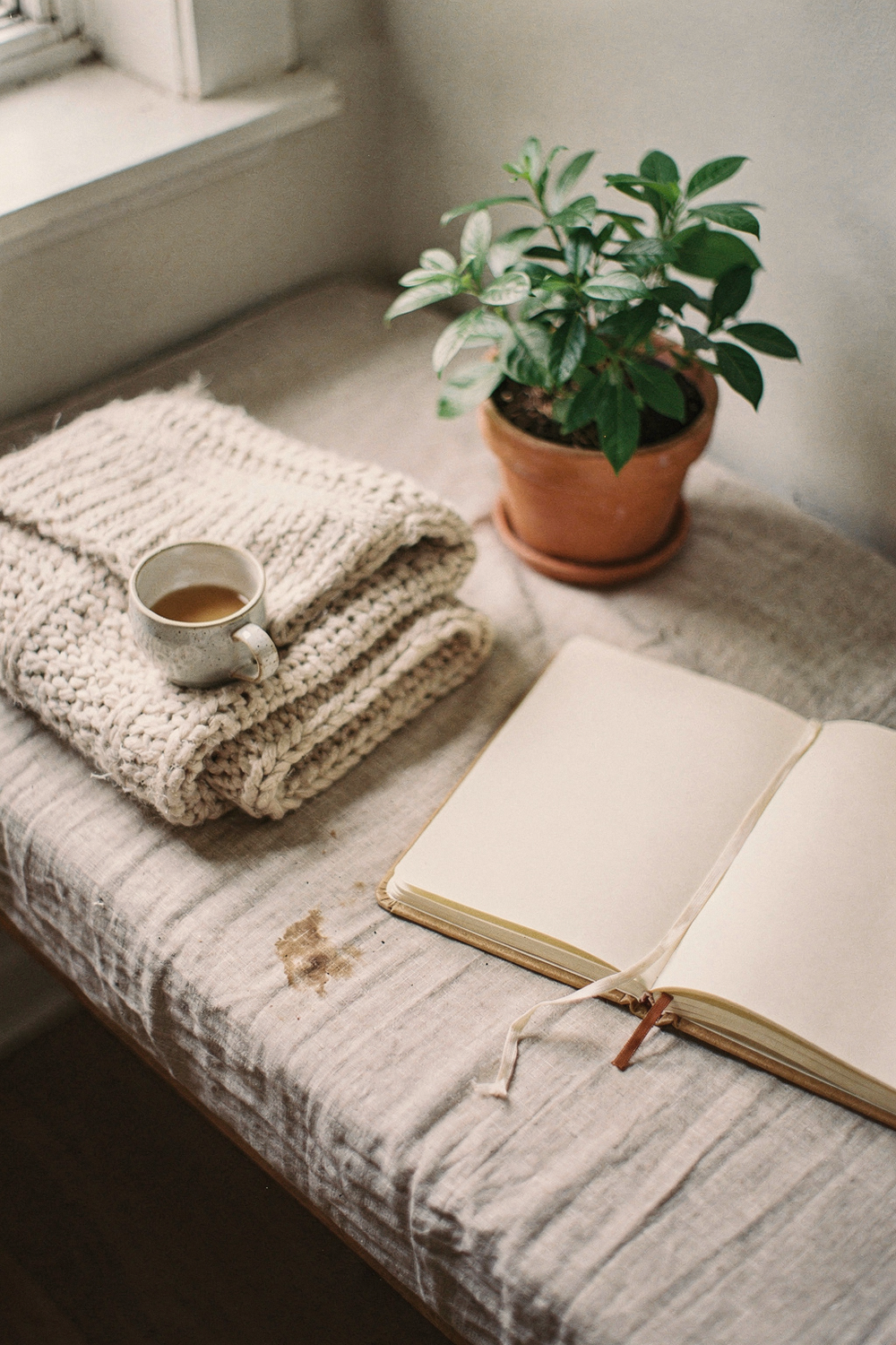 A folded knit throw, a small potted plant, a mug, and an open notebook resting on the cushion. NO faces, NO hands, NO text, NO logos